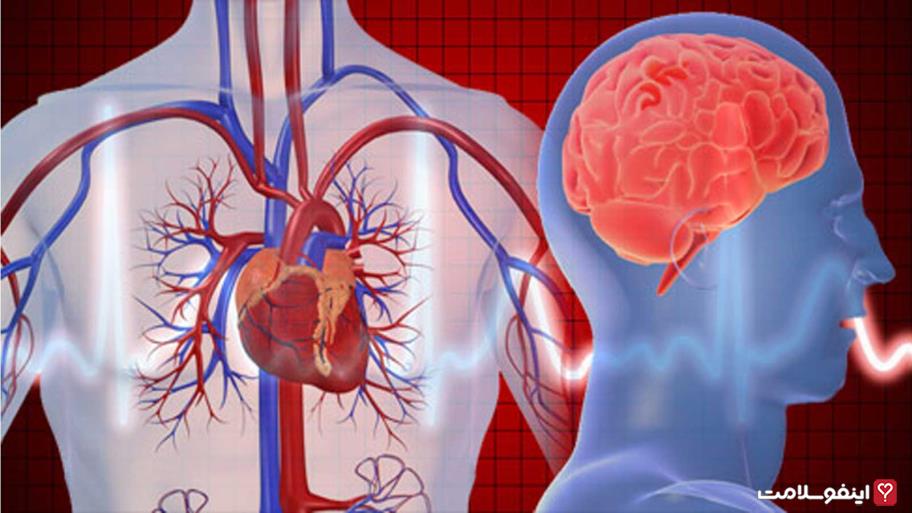 سکته‌های قلبی و مغزی علت مرگ ۸۵ درصد از بیماران قلبی عروقی